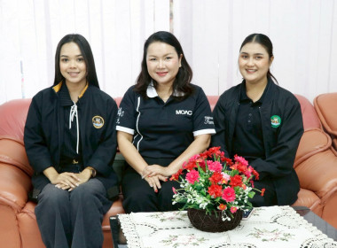 โครงการประชุมเชิงปฏิบัติการ ... พารามิเตอร์รูปภาพ 46
